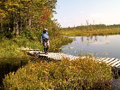 Dan Dorrough; bridge; IAT; Langlade County Arboretum, WI